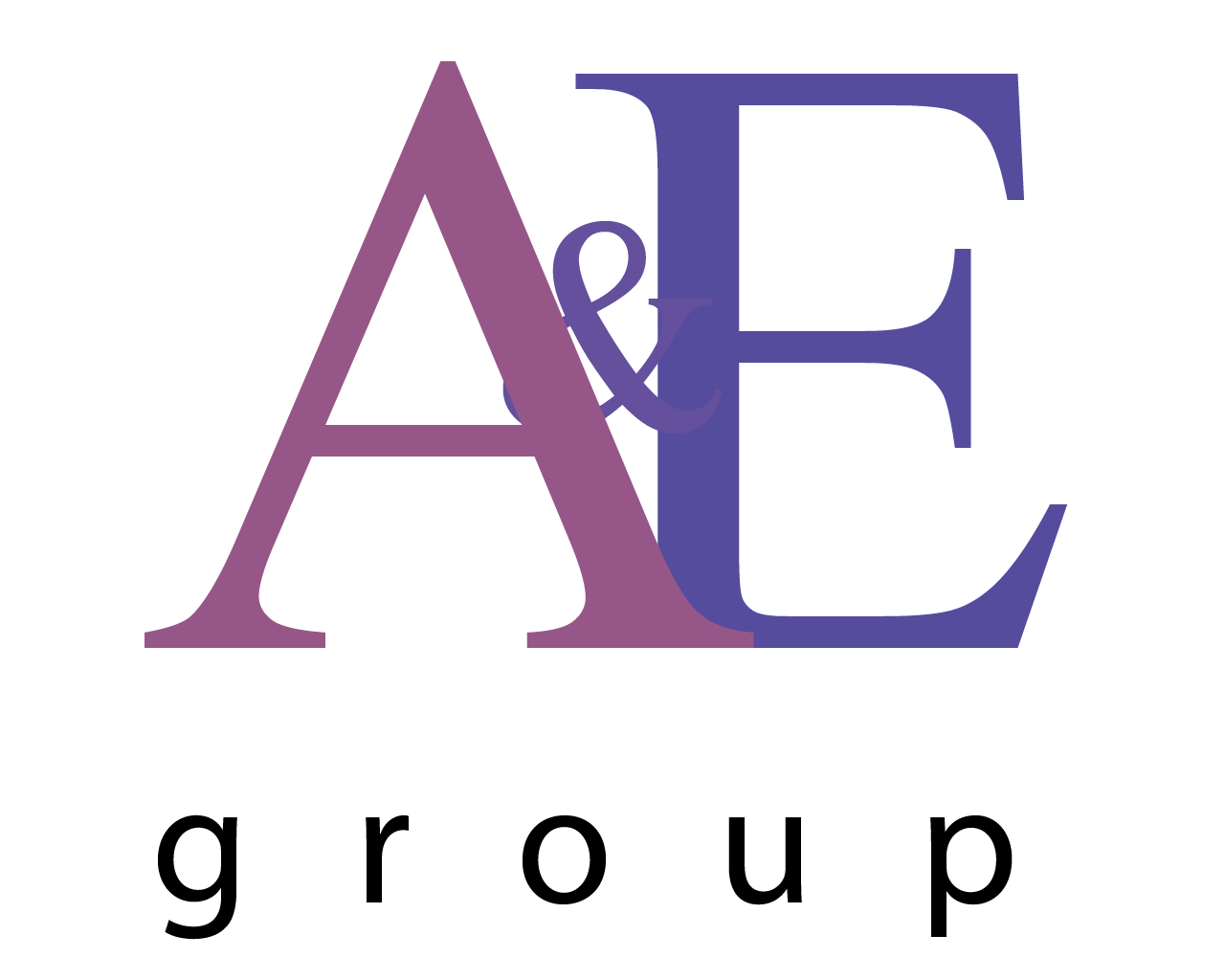 A&E Architectural & Engineering Group